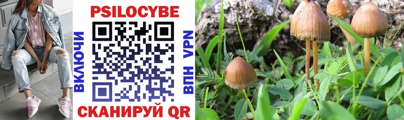 Галлюциногенные грибы MAGIC MUSHROOMS  Неман 